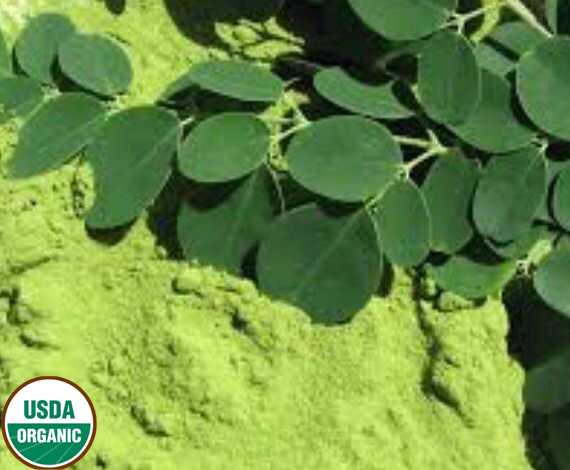 Various Cupcakes Designs